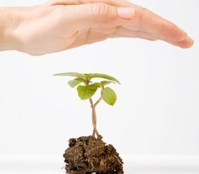 Our Love Affair with Results Reconsidered