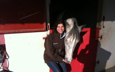 Whispering in Leaders&rsquo; Ears